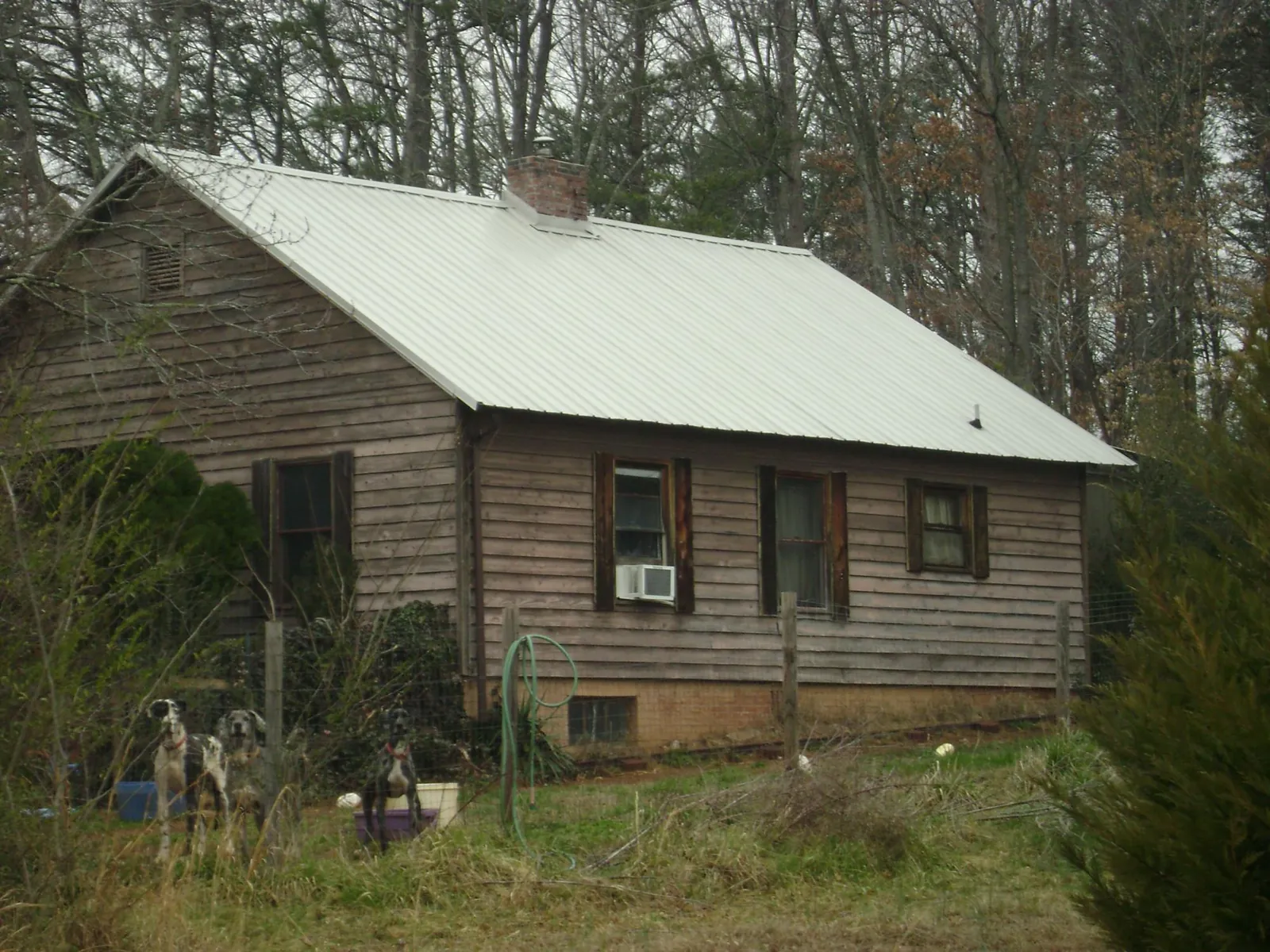 White metal roof on an old wood sided farmhouse, from a Asphalt Shingle Roof Repair job in Centertown